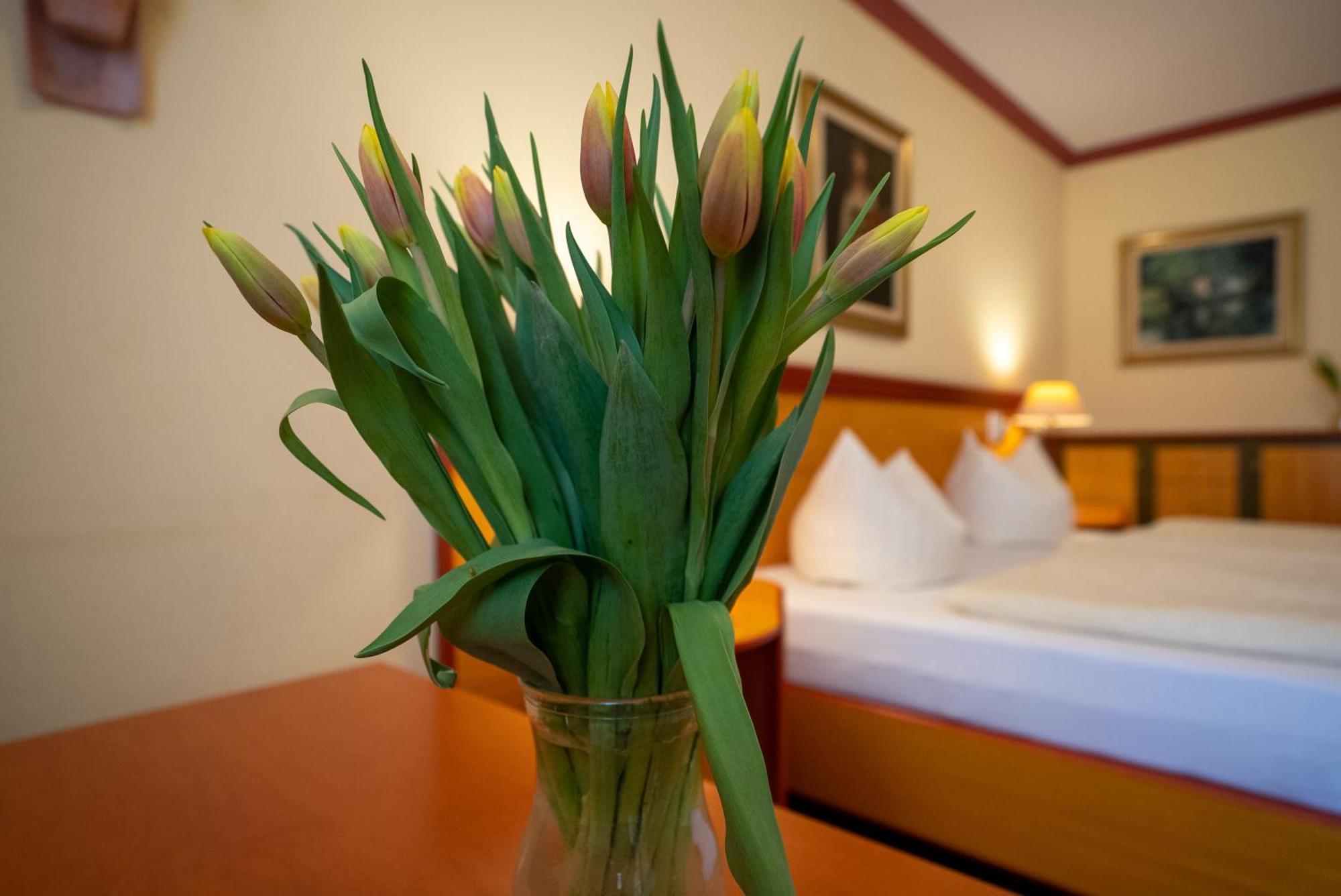 Hotel Esplanade & Aparthotel Rialto بينز المظهر الخارجي الصورة